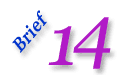 Brief 14