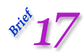 Brief 17