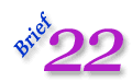 Brief 21