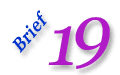 Brief 19